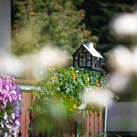 Alpenhof Bed & Breakfast Ramsau am Dachstein Eksteriør bilde