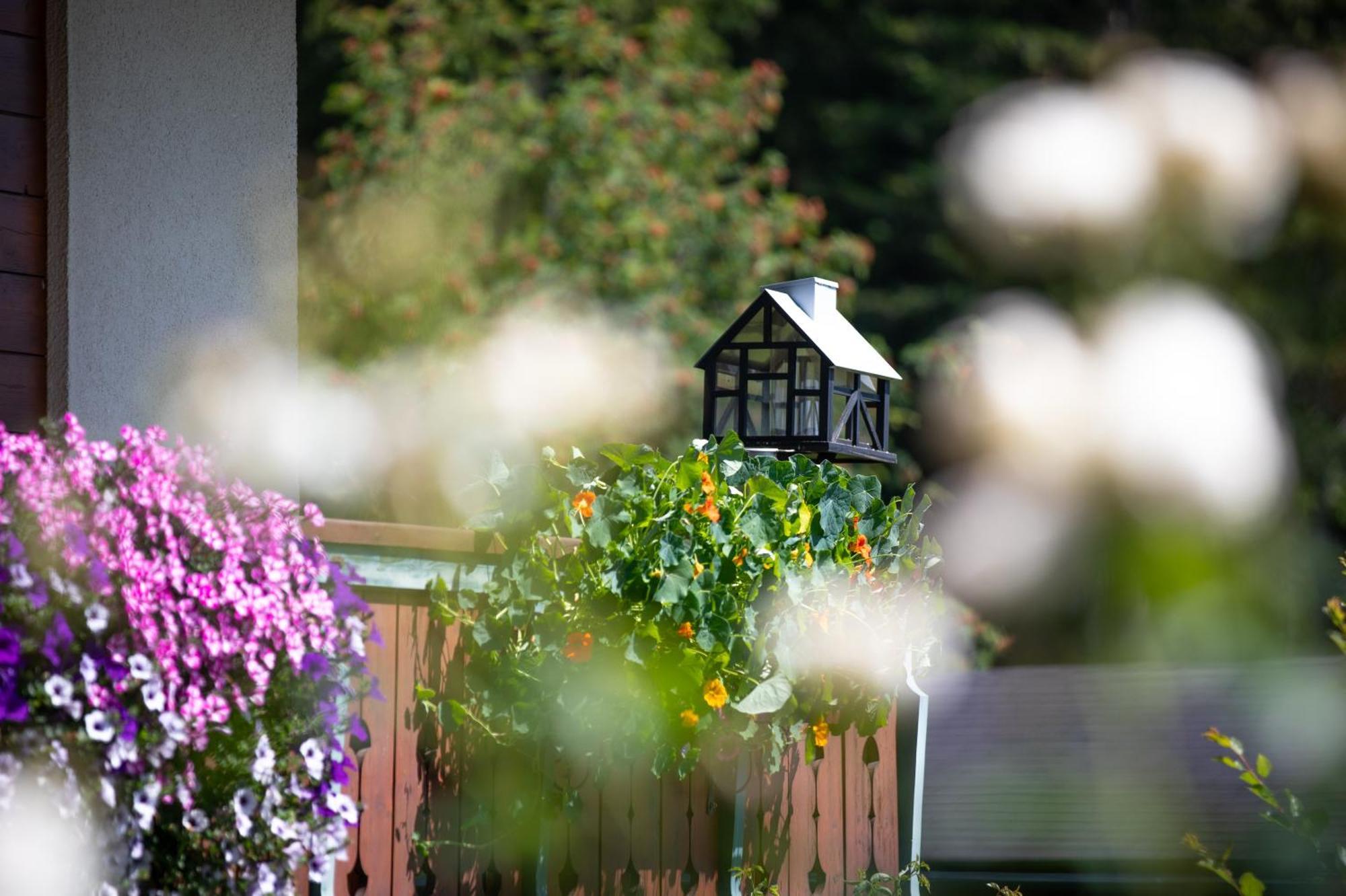 Alpenhof Bed & Breakfast Ramsau am Dachstein Eksteriør bilde